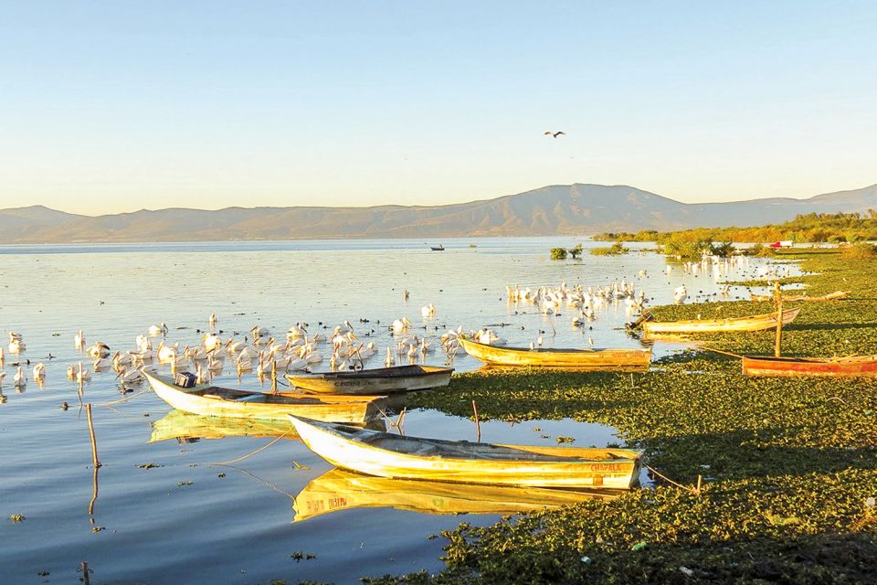 From Guadalajara: Chapala Lake & Ajijic Tour - Pickup and Drop-off Locations