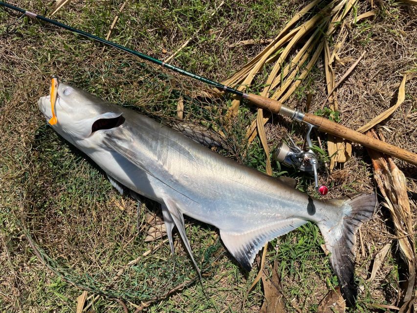 From Ho Chi Minh: Giant Monster Fishing Tour (2 Days) - Notable Fish Species