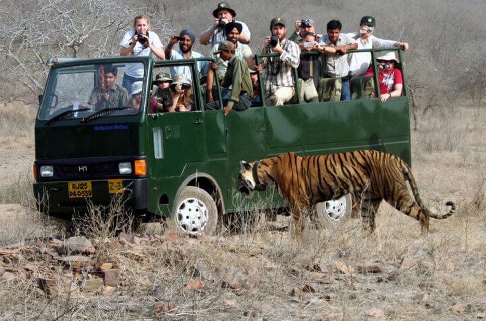 From Jaipur: Tiger Safari in Ranthambore National Park - Wildlife and Attractions