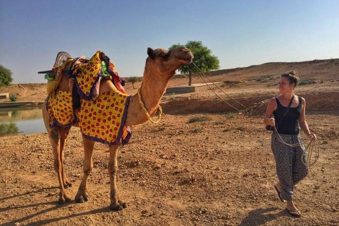 From Jodhpur : Overnight Stay In Desert With Camel Safari - Marwari Cuisine Delight