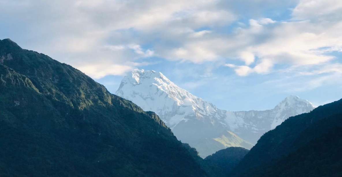 From Kathmandu: 5 Day Annapurna Poon Hill Himalayan Trek - Inclusions and Services