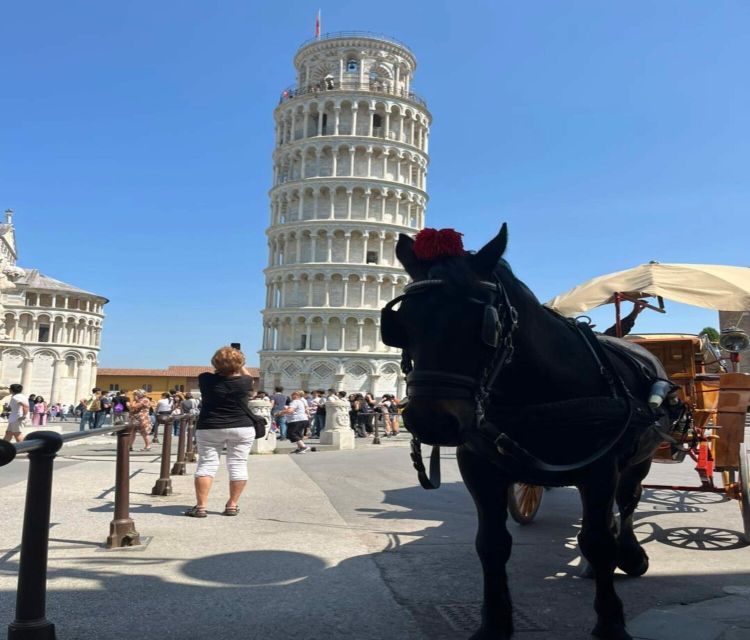 From Livorno Cruise Port: Bus Transfer to Pisa and Lucca - Highlights of the Experience