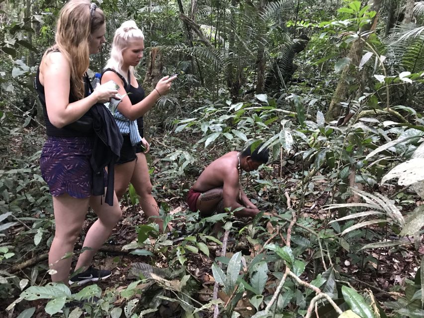 From Manaus: One-Day Amazon Jungle Experience - Customer Ratings