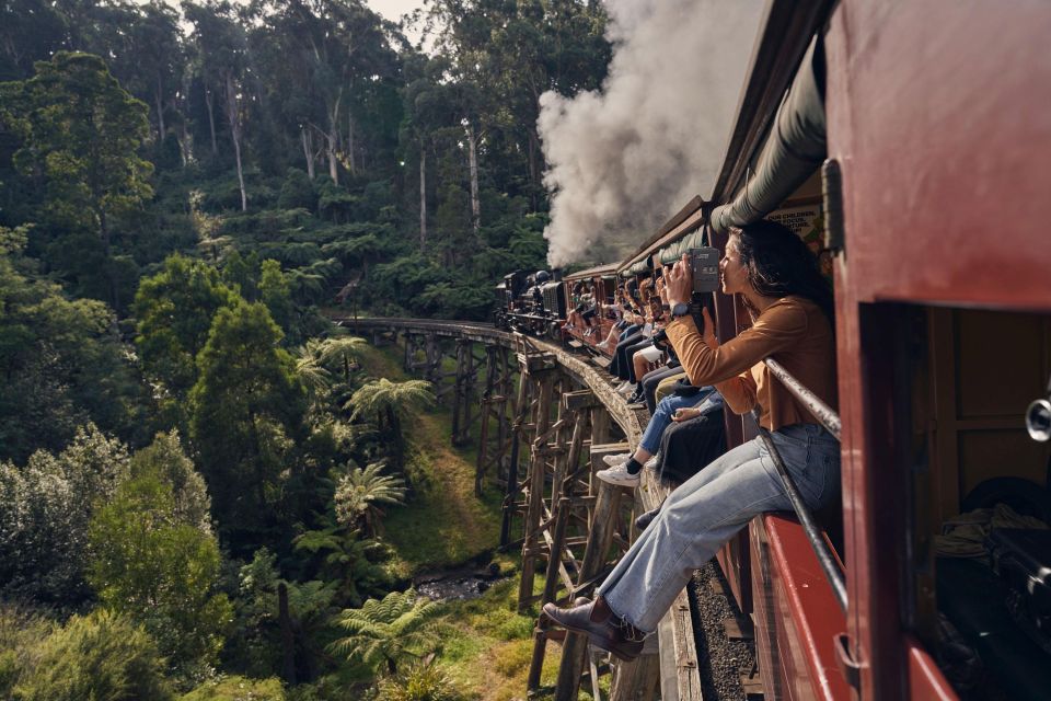 From Melbourne: Puffing Billy Train & Penguins Wildlife Tour - Inclusions