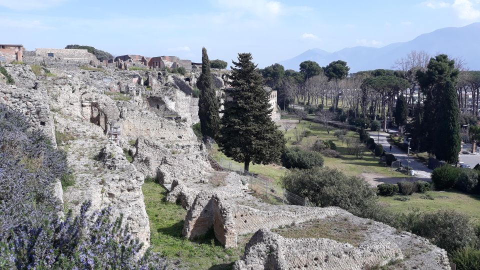 From Naples: Pompeii Private Half Day Tour - Tour Itinerary