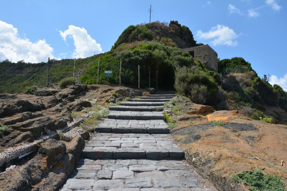 From Naples: Procida Island Day Trip With Lunch - Meeting Point and Logistics