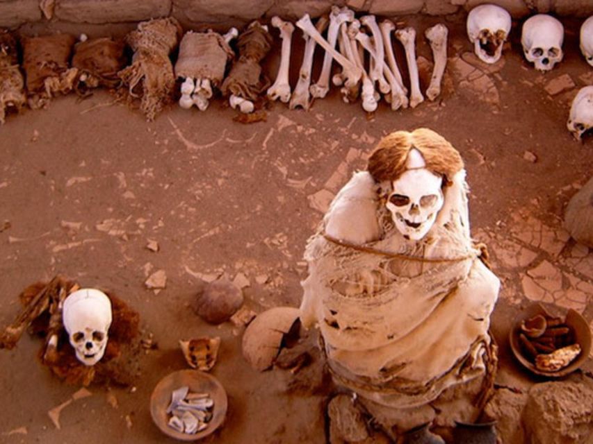 From Nazca: Chauchilla Cemetery Tour - Highlights of the Tour