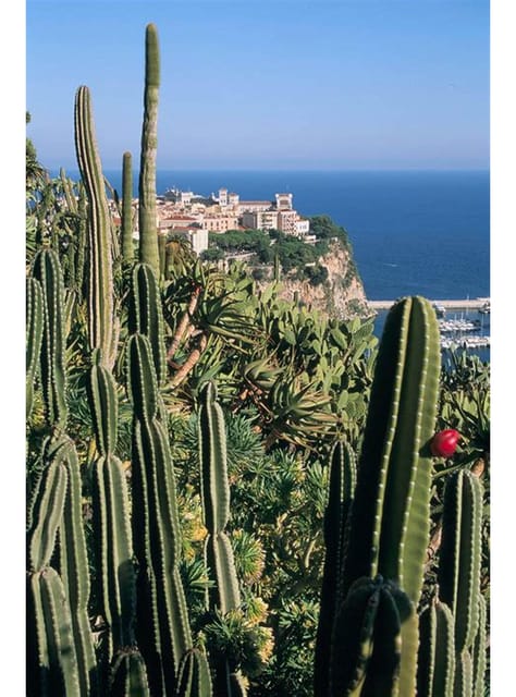 From Nice: Day Tour of Eze, Monaco and Monte-Carlo - Key Inclusions