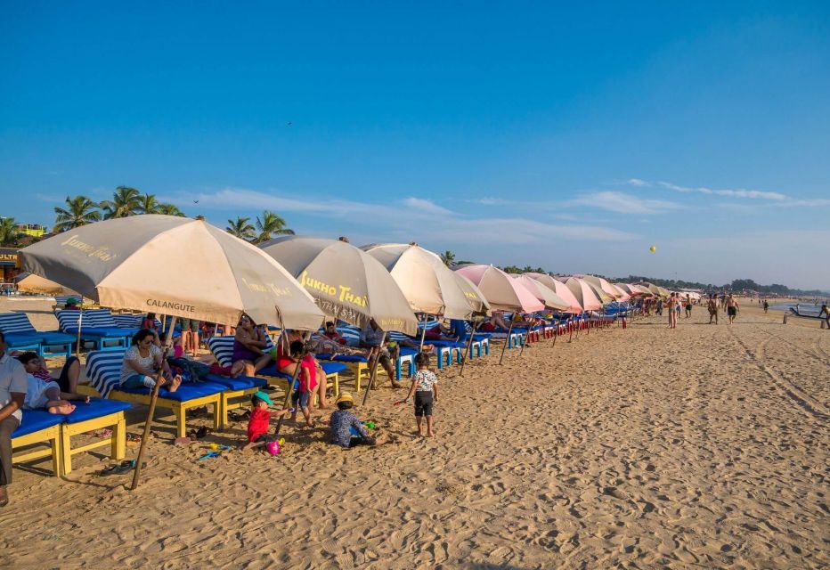 From North Goa : Full Day North Goa Tour With Pick up & Drop - Inclusions and Exclusions