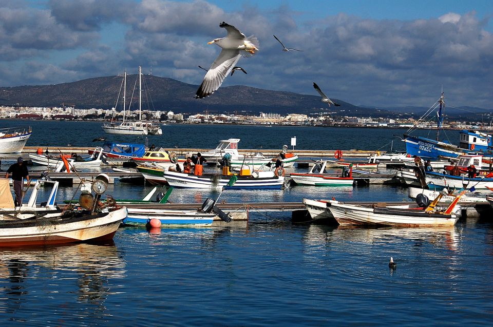 From Olhão: Ria Formosa & Culatra Island 3.5-Hour Boat Trip - Tour Inclusions