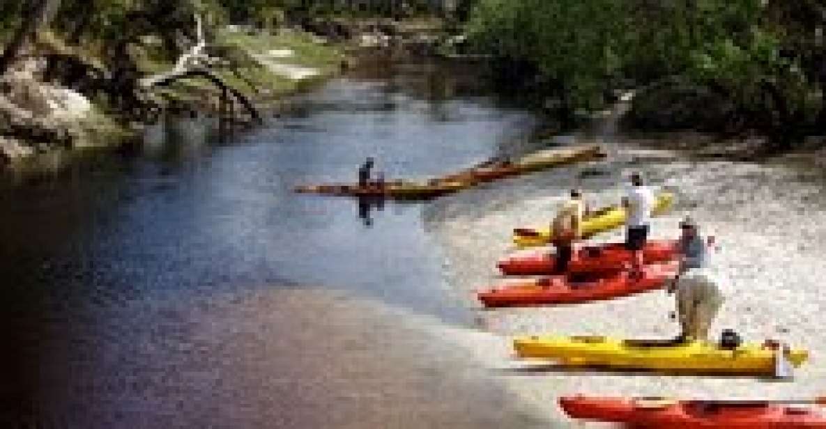 From Orlando: Kayaking the Econlockhatchee River With Lunch - Whats Included in the Tour