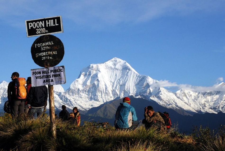 From Pokhara: 3-Day Ghorepani Poonhill Short Trek - Day 2 Itinerary