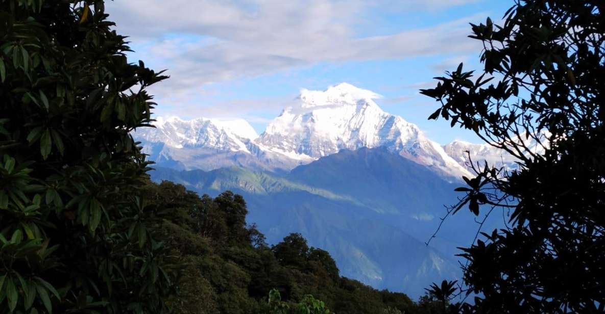 From Pokhara: 3 Night 4 Days Ghandruk Poon Hill Trek - Daily Itinerary Breakdown