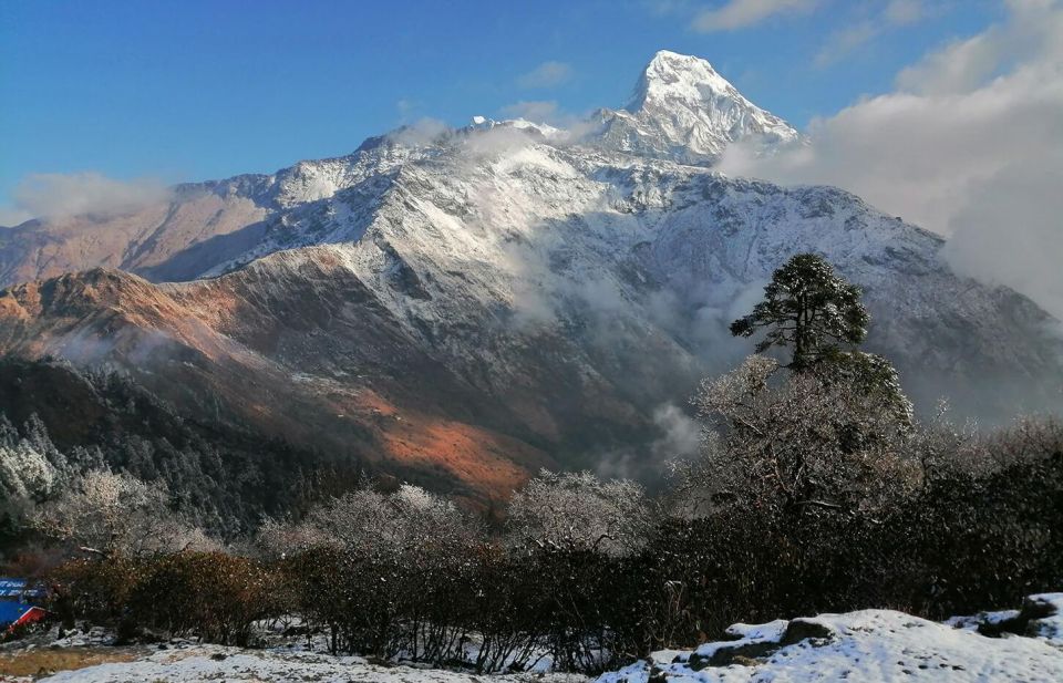 From Pokhara: 4 Day Mulde View Point With Poon Hill Trek - Health and Safety Considerations