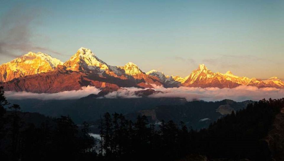 From Pokhara: 5-Day Annapurna Basecamp Trek With Hot Springs - Inclusions and Logistics