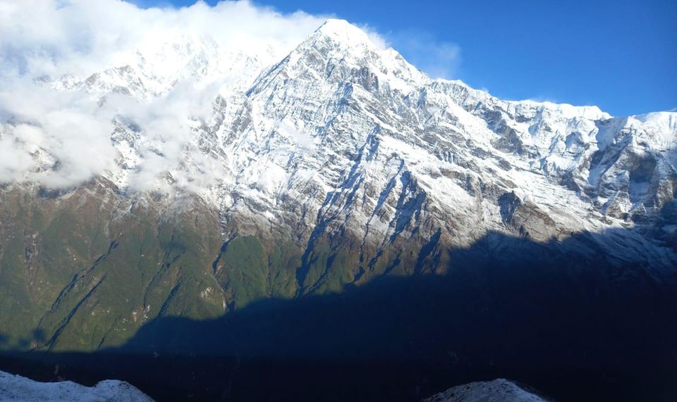 From Pokhara: 5-Day Full Board Mardi Himal Trek With Guide - Inclusions and Services