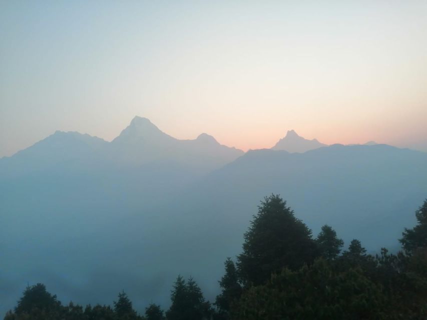 From Pokhara: Budget 2 Night 3 Days Poon Hill Trek - Detailed Itinerary