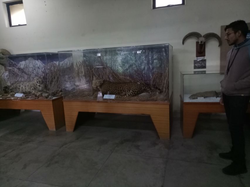 From Pokhara: Full Day Museum Tour - Pokhara Regional Museum