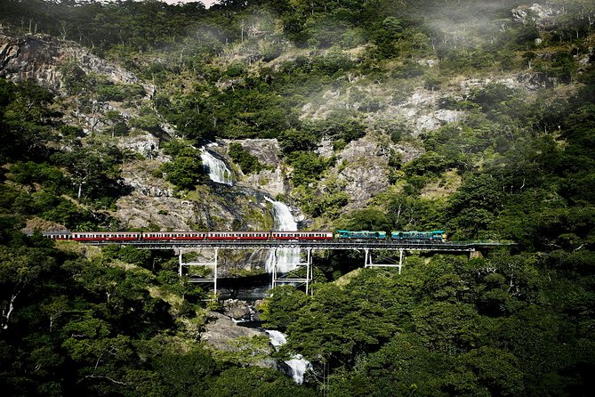 From Port Douglas Tour Including Kuranda, Skyrail & Scenic Train - Skyrail Rainforest Cableway