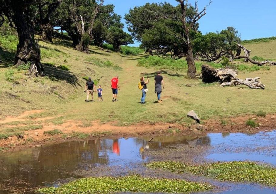 From Porto Moniz: Fanal 4x4 Tour - Experience Details