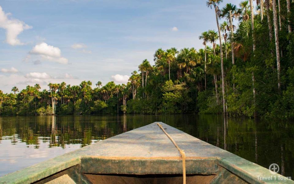 From Puerto Maldonado || Jungle Trekking + Sandoval Lake || - Wildlife Highlights