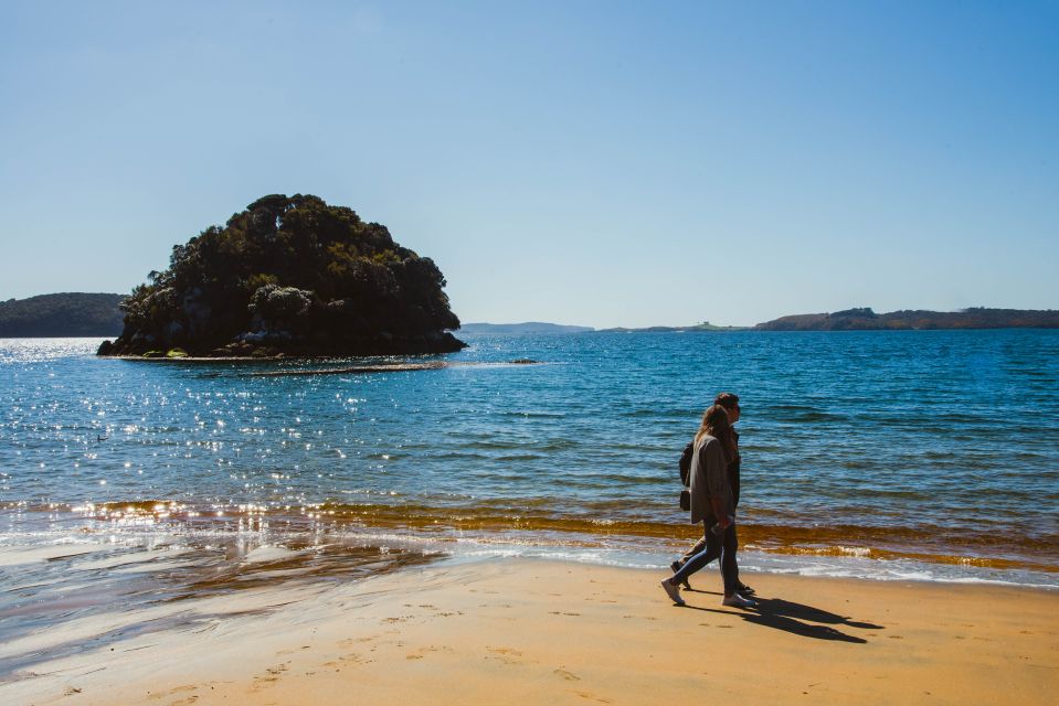 From Queenstown: Day Trip to Stewart Island by Plane - Itinerary