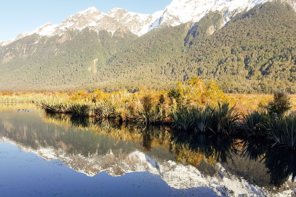 From Queenstown: Milford Sound Premium Day Tour and Cruise - Booking Information