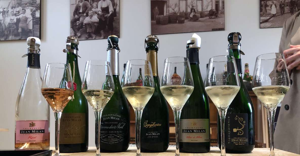 From Reims/Epernay: Private Gold Champagne Tasting Tour - Transportation Options