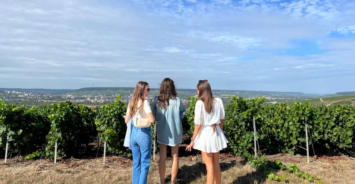 From Reims/Epernay: the Connoisseurs Private Tour 9 Tastings - Pickup and Drop-off
