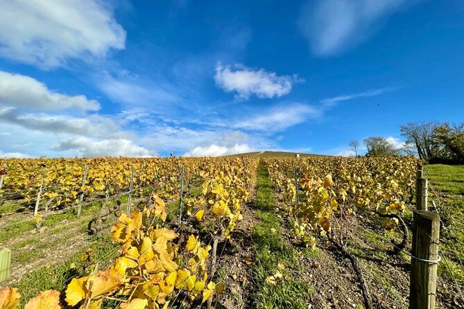 From Reims: Full Day Champagne Mumm, Family Growers & Lunch - Meeting and Pickup