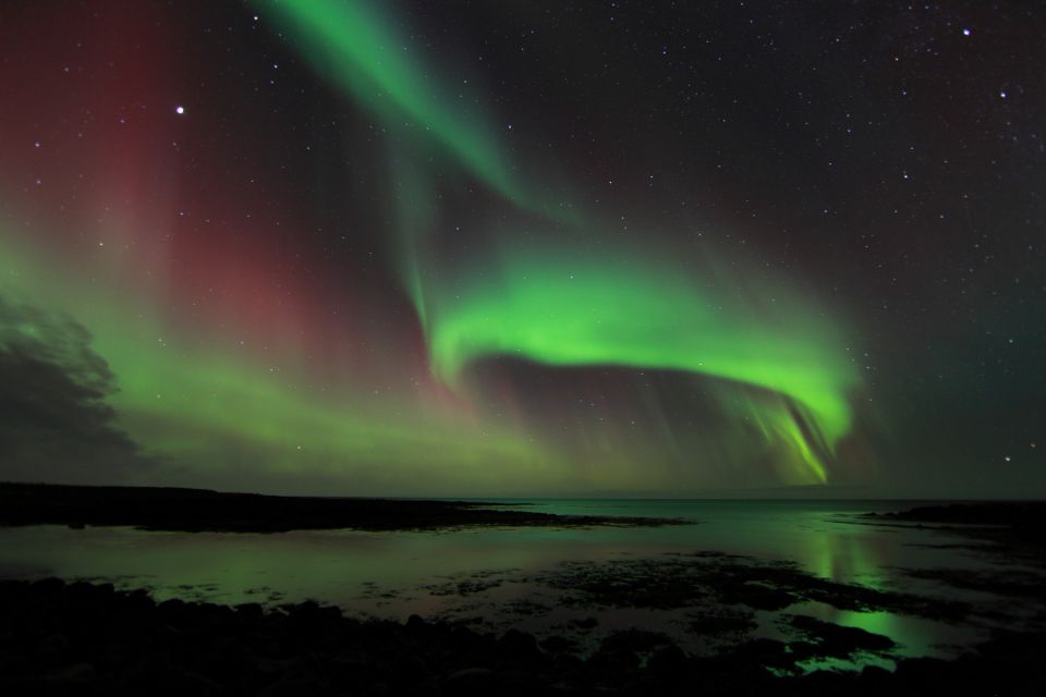 From Reykjavik: Northern Lights Tour - Inclusions and Amenities