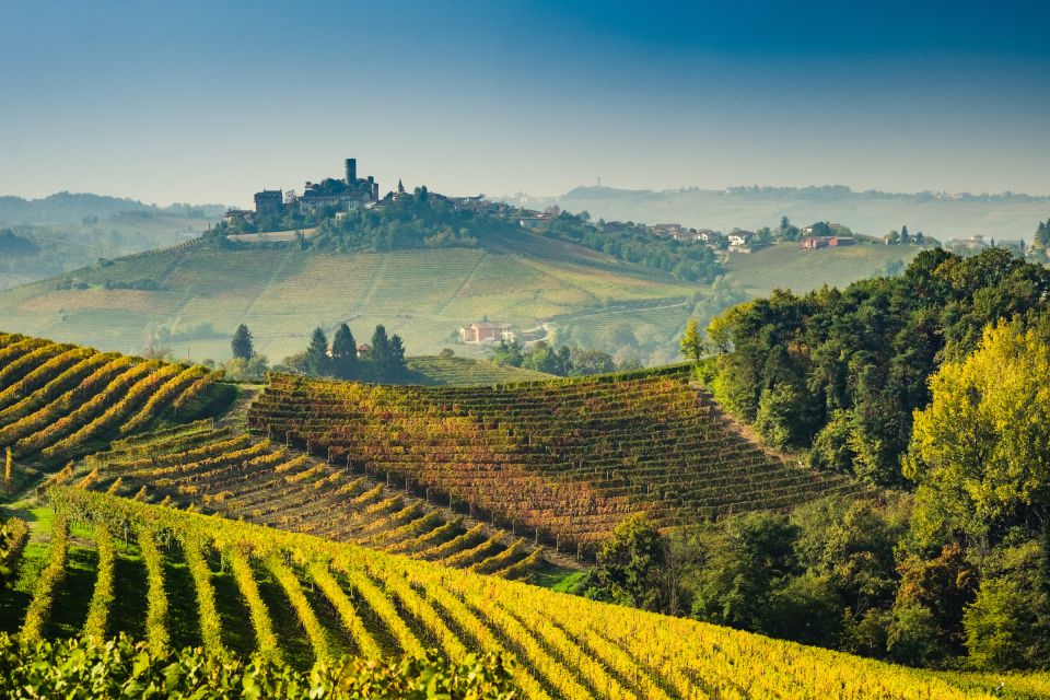 From Rome: Private Frascati Tour With Lunch & Wine Tasting - Dining Experience