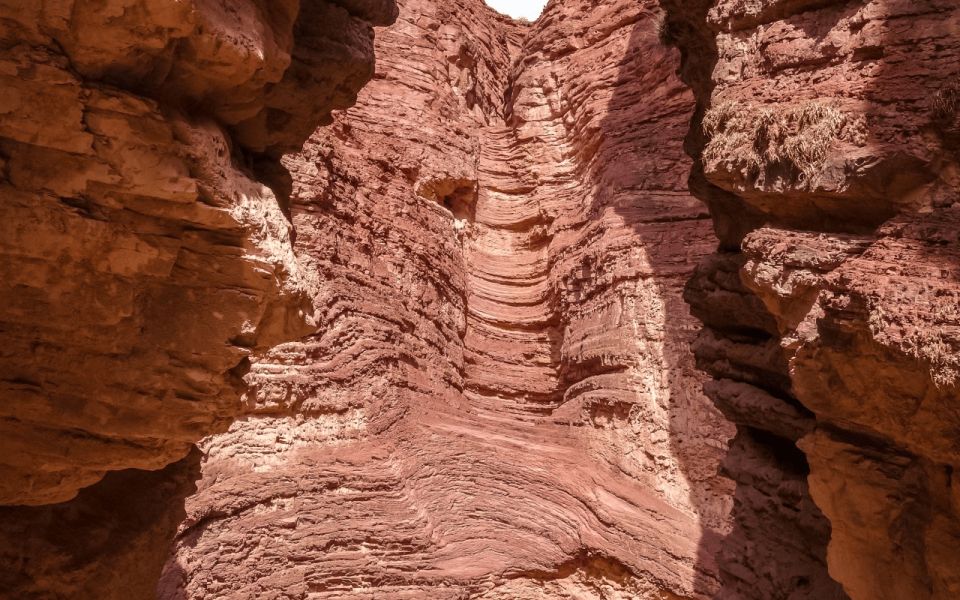 From Salta: Cafayate, Humahuaca, and Salinas Grandes in 3 Days - Wine Experience