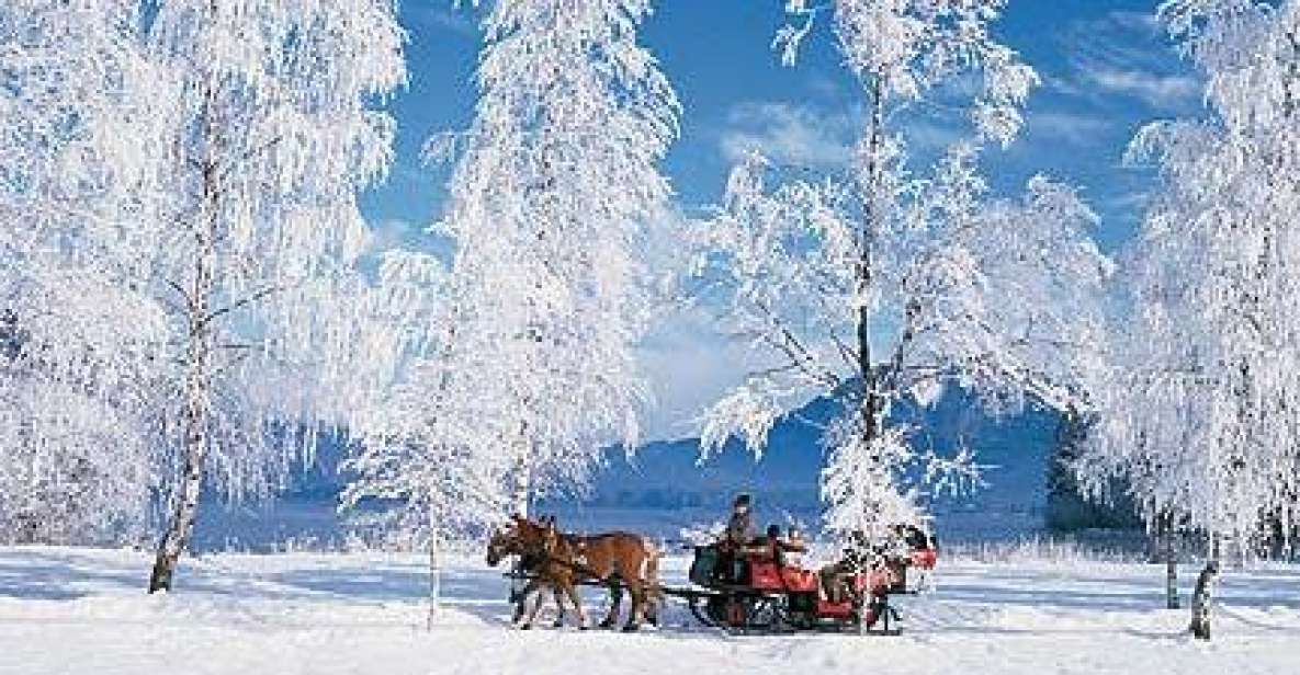 From Salzburg: Romantic Sleigh Ride Through the Countryside - Whats Included in the Tour