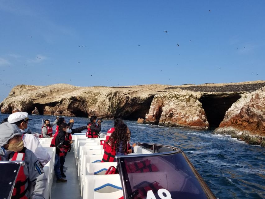 From San Martin Port: 2-Hour Ballestas Island - Itinerary Details