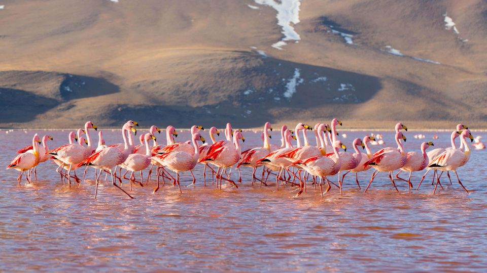 From San Pedro De Atacama: Uyuni Salt Flat 4-Days - Day 1 Activities