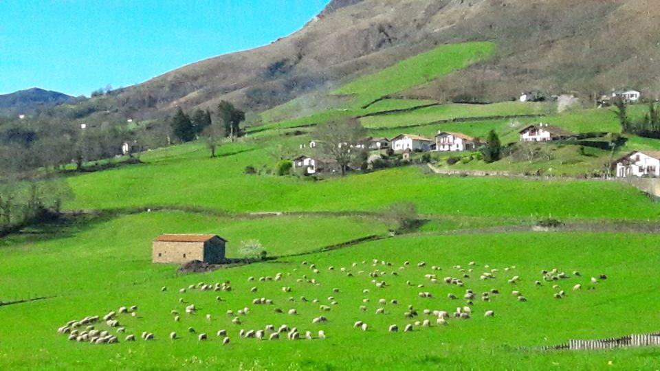 From San Sebastian: French-Basque Countryside Private Tour - Inclusions