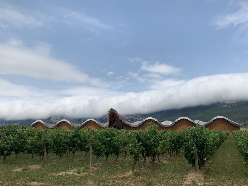From San Sebastian: Rioja Wine Tour - Experience and Activities