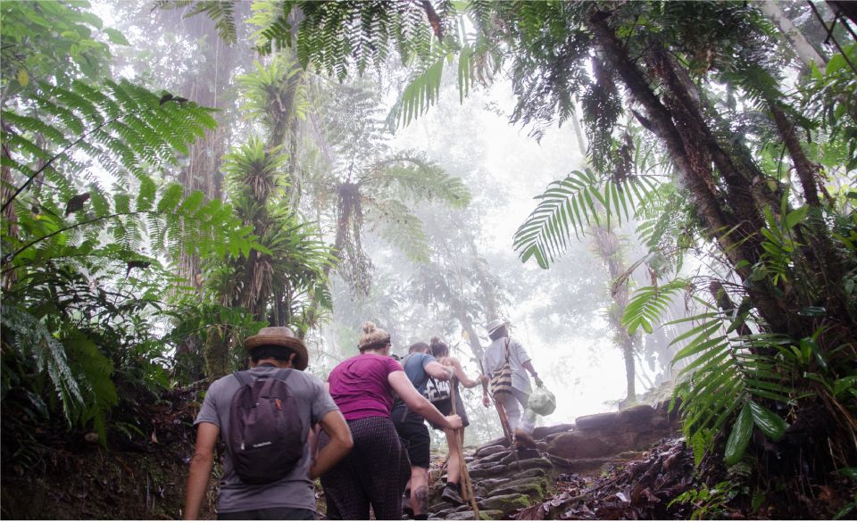 From Santa Marta: Ciudad Perdida 4-day Trek - Detailed Itinerary
