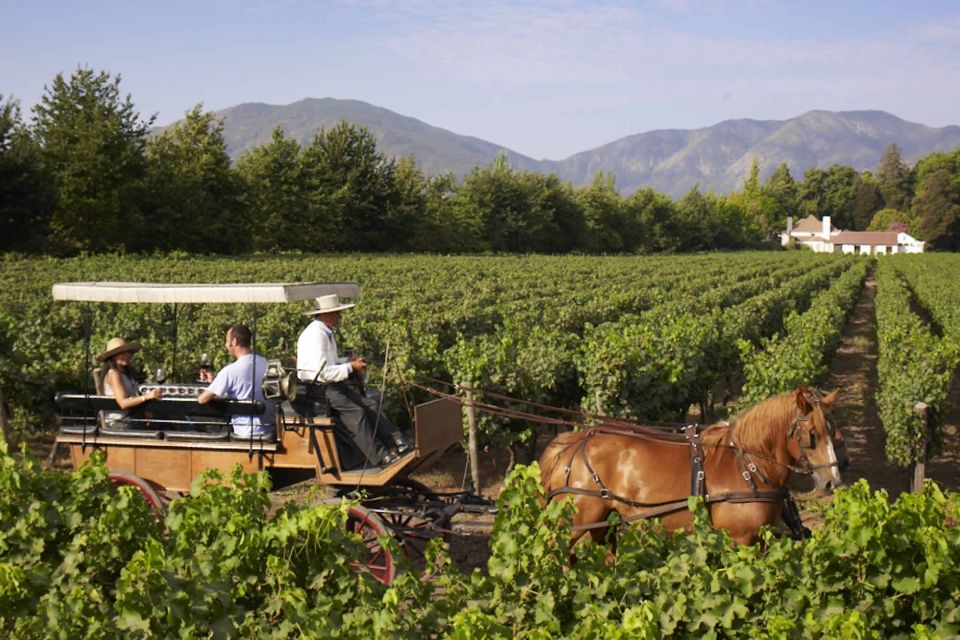 From Santiago: Private Colchagua Valley Wine Tour W/ Tasting - Inclusions