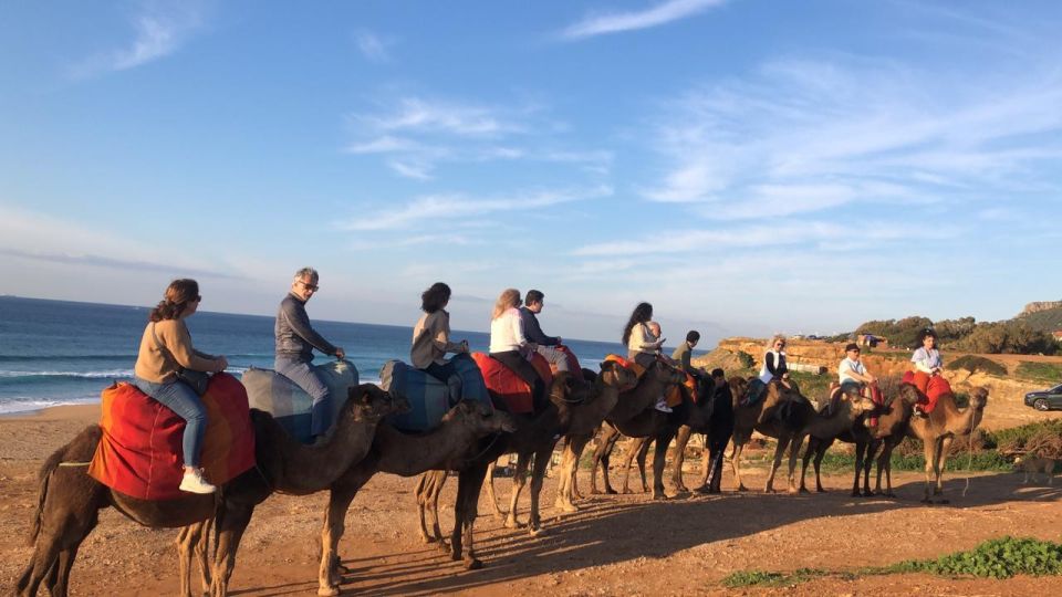 From Sevilla Vip Private Tangier Tour All Inclusive - Transportation and Comfort