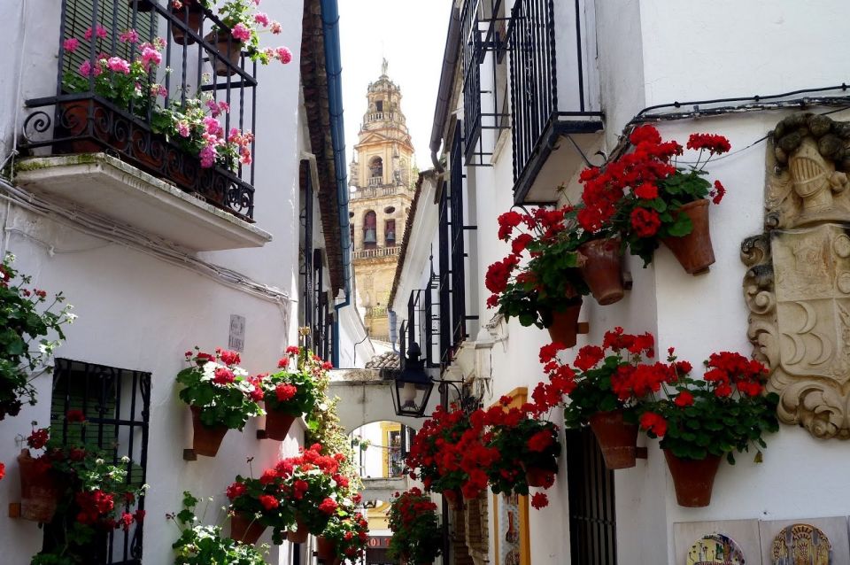 From Seville: Private Transfer to Granada and Córdoba Tour - Included Services