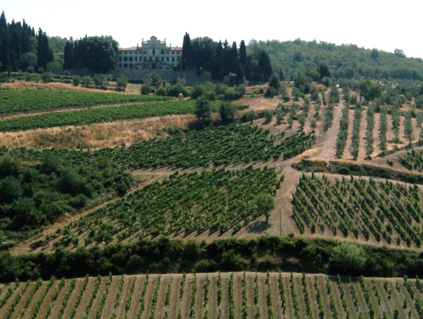 From Siena: Chianti and Castles Tour With Wine Tastings - Experience Details