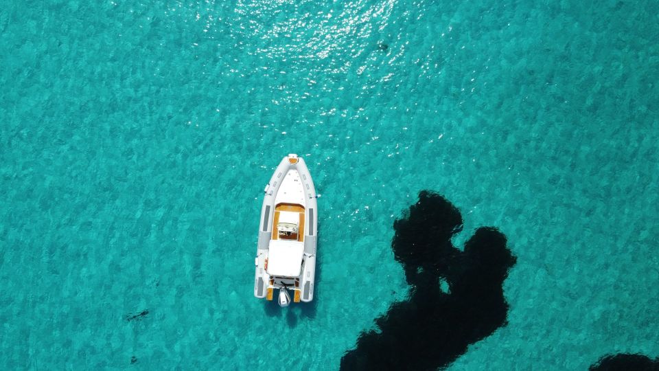 From Stintino: Half-Day Dinghy Tour in Asinara Gulf - Detailed Itinerary