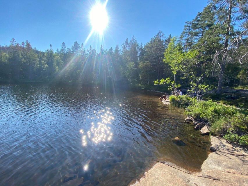 From Stockholm: 4-Day Hiking Trip in Central Sweden - Inclusions and Amenities
