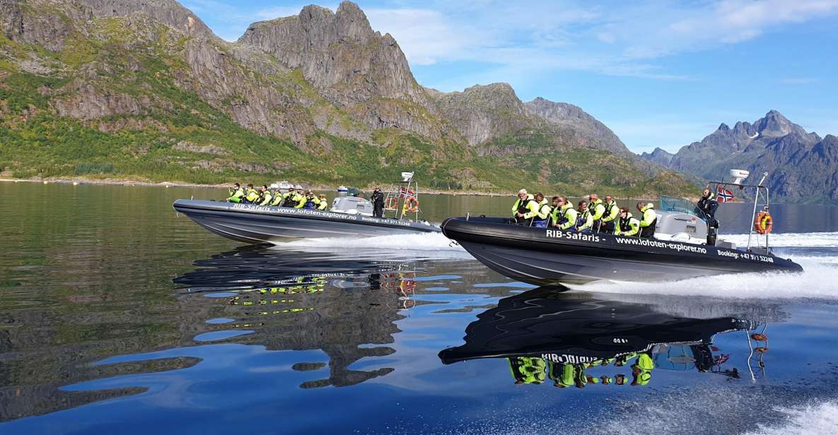 From Svolvaer: Trollfjorden Wildlife RIB Cruise - Inclusions and Restrictions