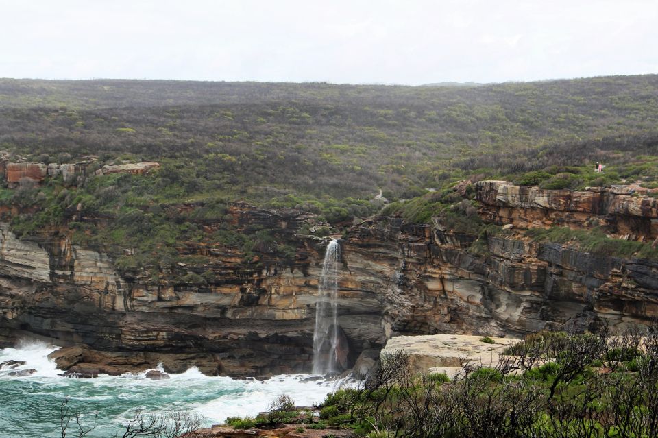 From Sydney: Private Day Tour of the Royal National Park - Tour Description