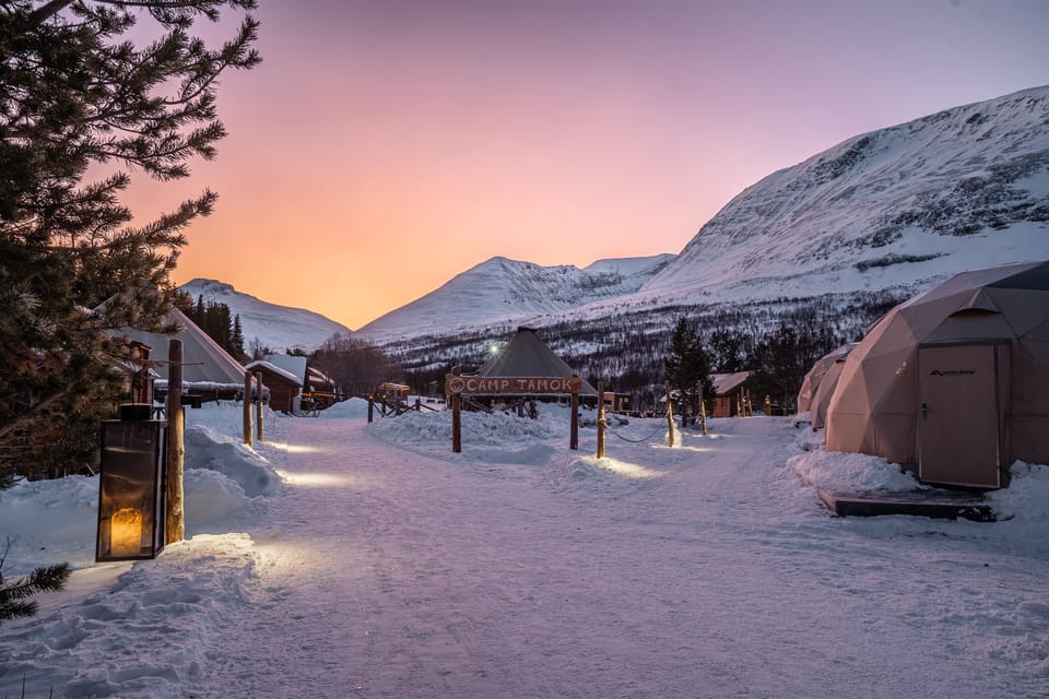 From Tromsø: Advanced Dog Sledding Tour at Camp Tamok - What to Bring