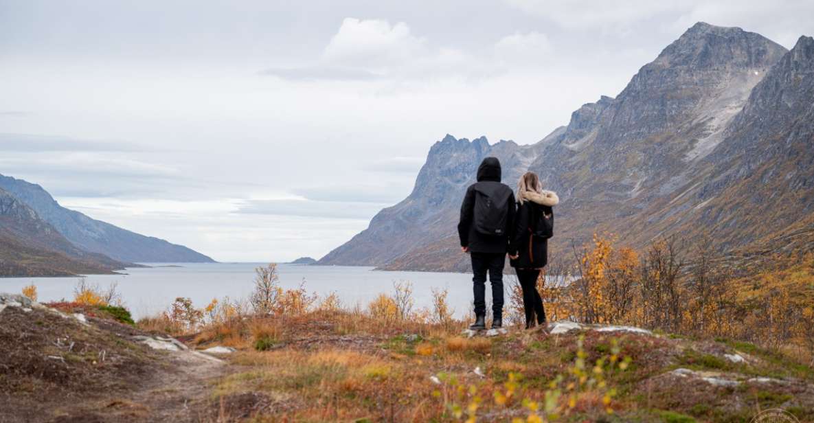 From Tromsø: Arctic Roadtrip - Wildlife Encounters on the Journey