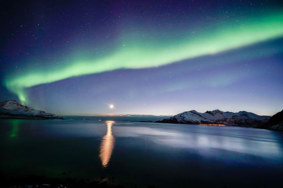 From Tromsø: Aurora Borealis Tour - What to Expect